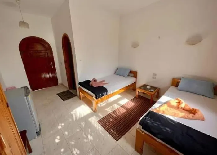 Mr Dahab Hotel Dahab